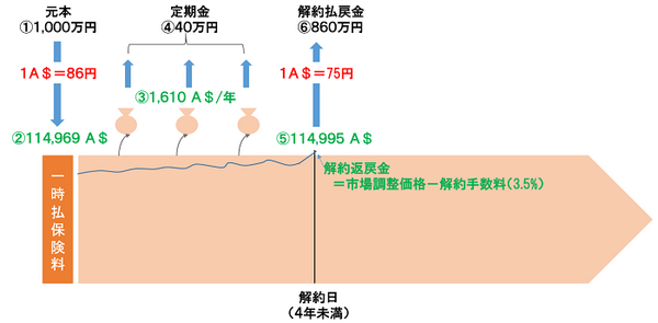 保険契約から解約までのお金の流れ