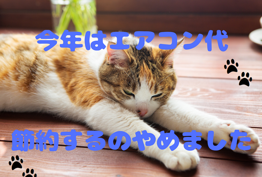 エアコン代を節約するのやめました