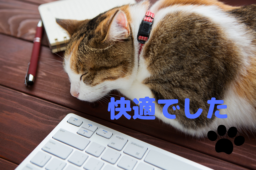 快適でした