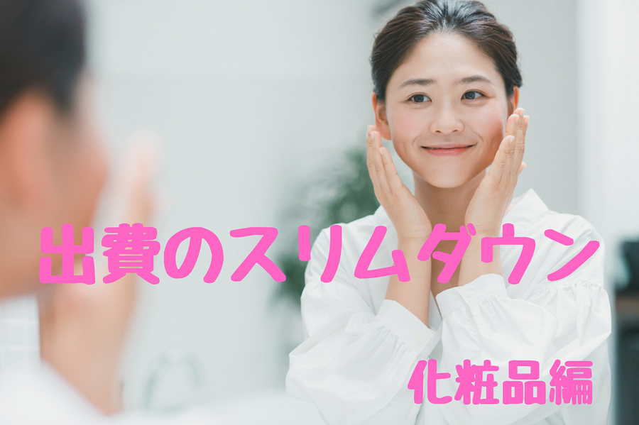出費のスリムダウン