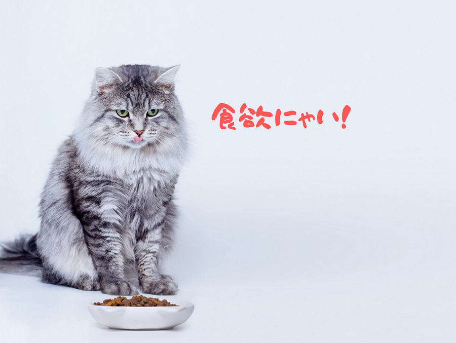 食欲にゃい！