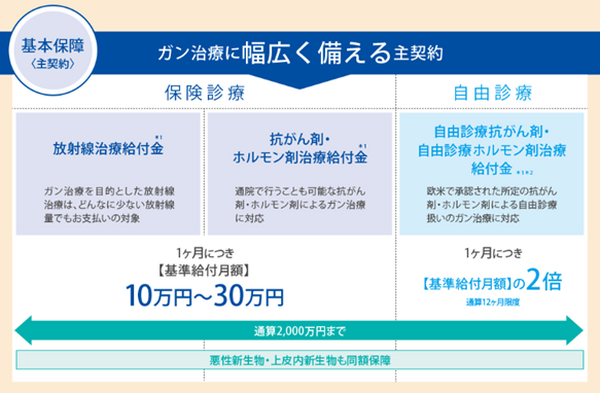 放射線治療や抗がん剤・ホルモン剤治療の保障が主契約