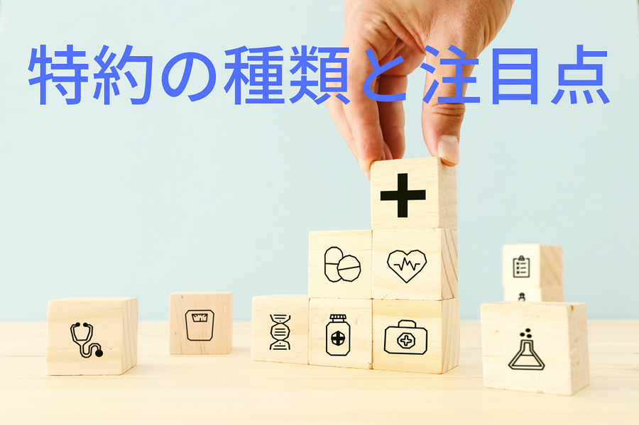 特約の種類と注目点