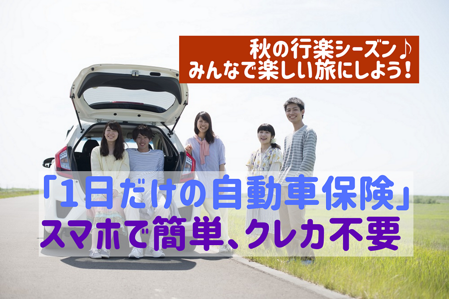 1日だけの自動車保険は、スマホで簡単、クレカ不要