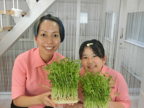 【節約＆ダイエットレシピ】プロが小3に教える簡単クッキング 「もやしと豆苗のカルボナーラ」