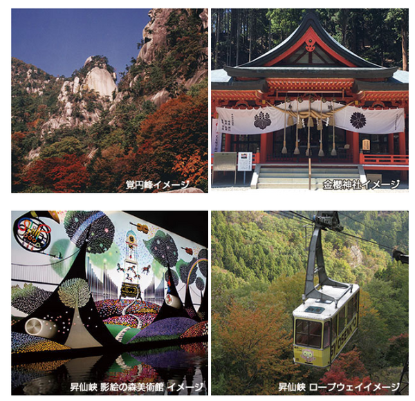 【秋の関東圏】1万円以下の日帰りバスツアー7選　美しい紅葉や郷土グルメをお得に堪能しよう