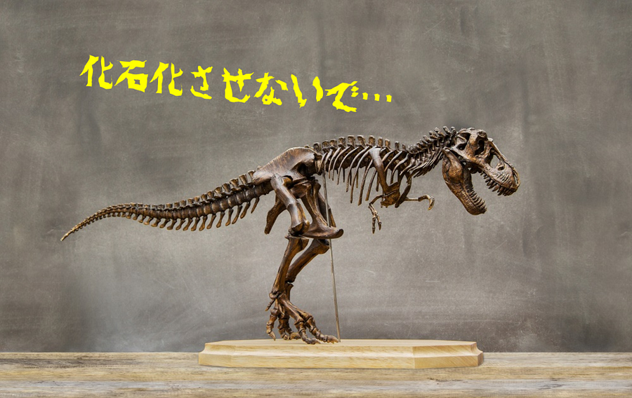 化石化させないで