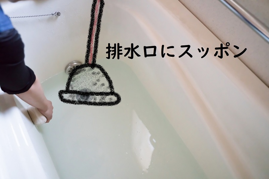 排水溝にスッポン