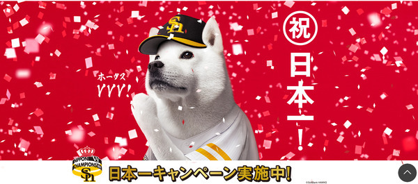 日本一キャンペーン実施中