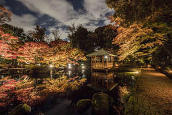 太田黒公園写真