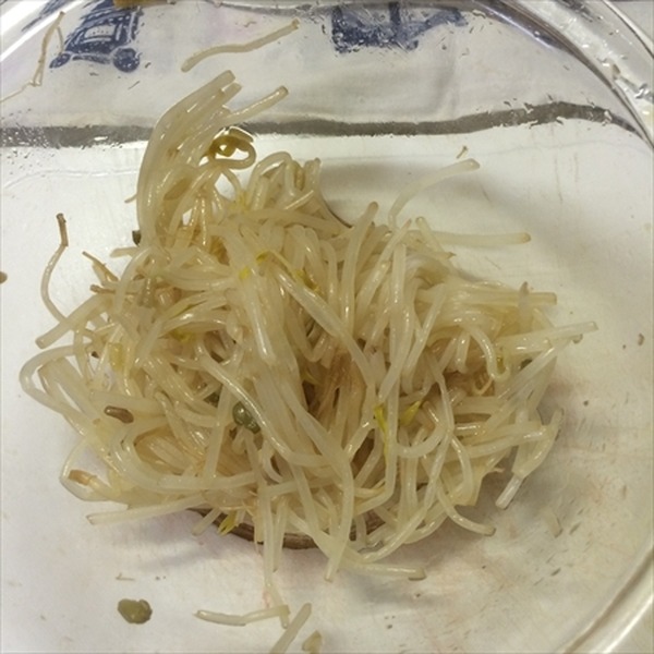 【簡単節約レシピ】ダイエットにもおすすめたっぷり牛丼