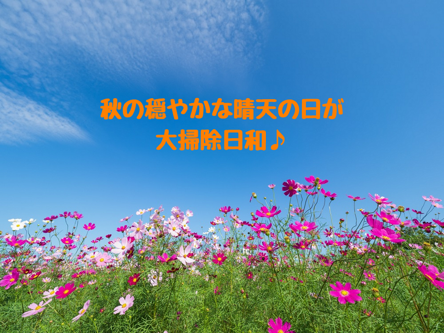 秋の穏やかな晴天の日が大掃除日和