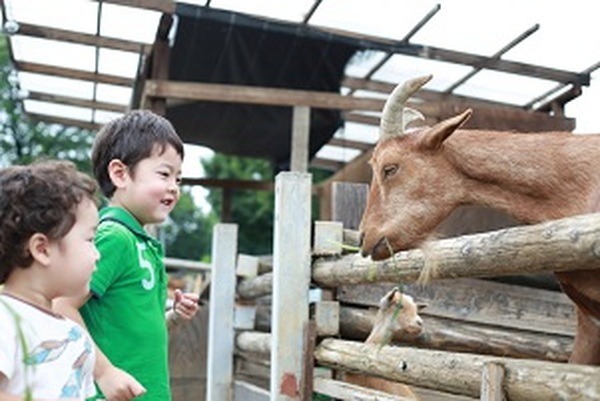 年間パスポートのお得度が高い施設　厳選16連発