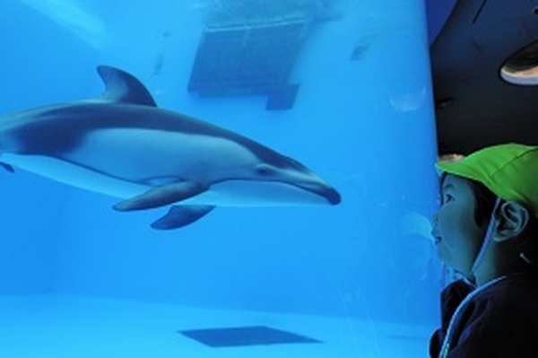 年間パスポートのお得度が高い施設　厳選16連発