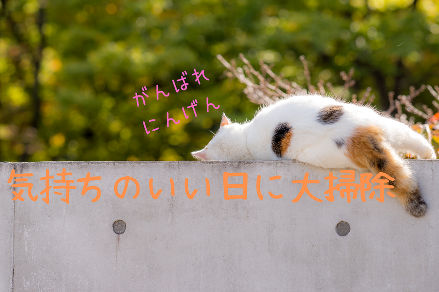 気持ちのいい日に大掃除