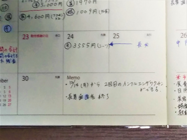 家計簿の感想を書いたりするなど