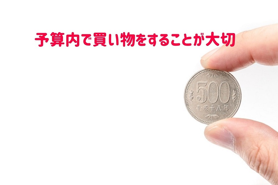 予算内で買い物をすることが大切