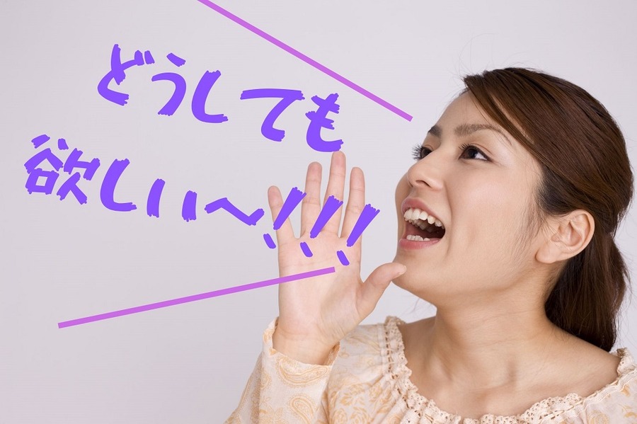 どうしても 欲しい～！！！