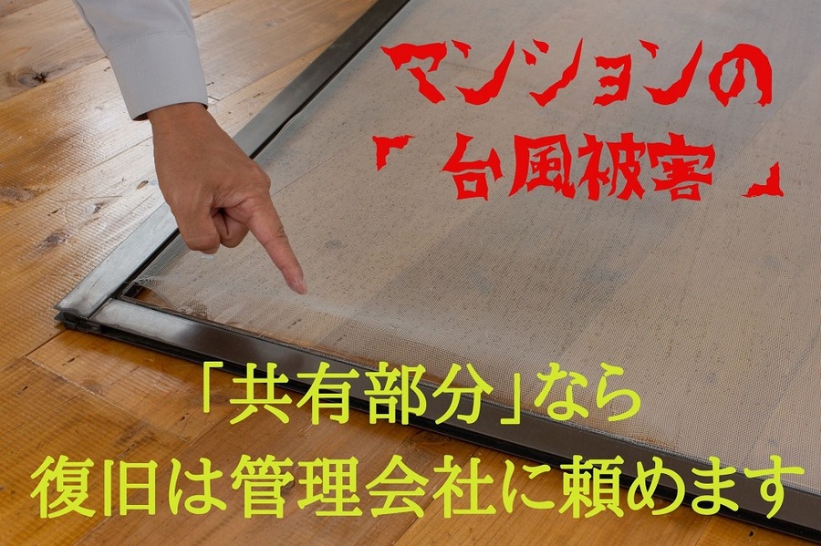 マンションの「台風被害」