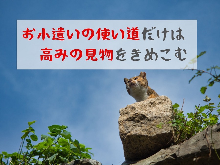 高みの見物