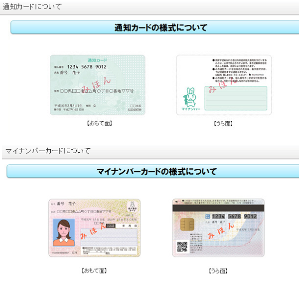 通知カードとマイナンバーカード