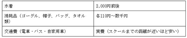 水着や小物の費用、交通費