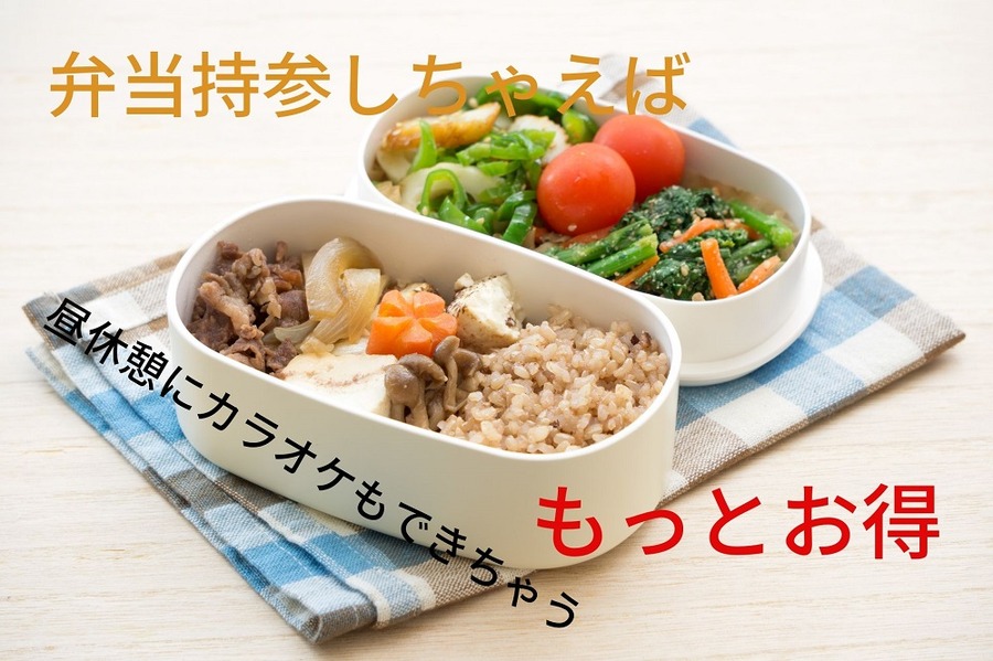 カラオケに弁当持参