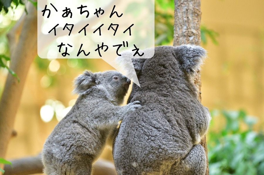 育児と傷病が重なった場合に起きる勘違い