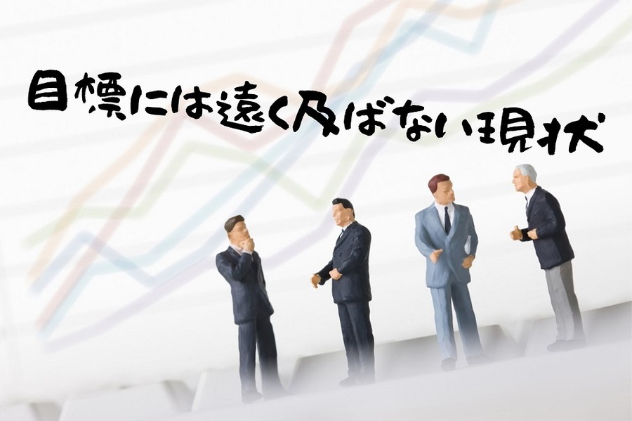 目標には遠く及ばない現状