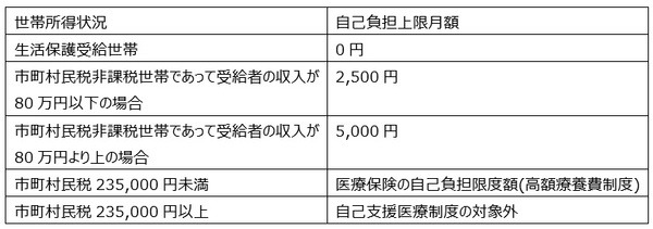 自己負担の上限額について