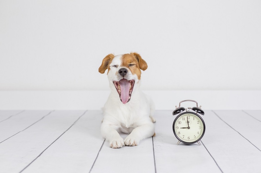 税務署は９時にオープン
