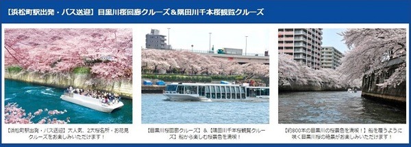 目黒川桜回廊貸切クルーズ