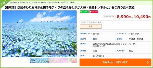ひたち海浜公園ネモフィラの丘