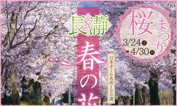 長瀞桜まつり