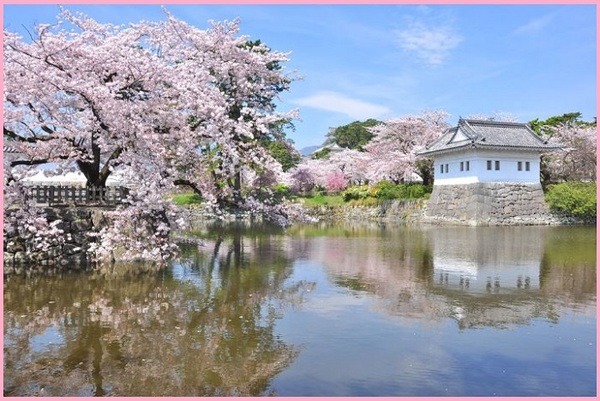 小田原城址公園