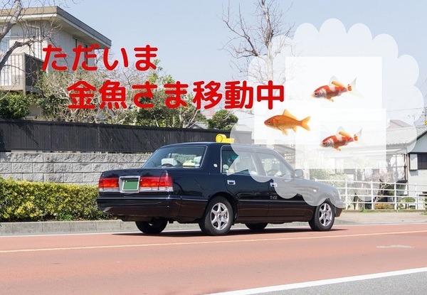 金魚タクシー