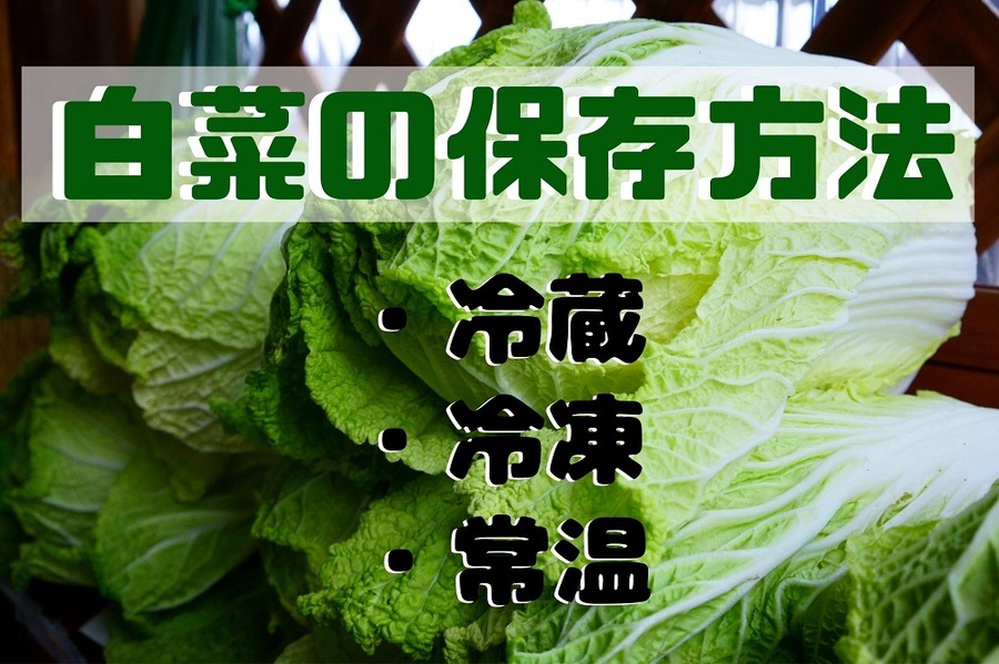 白菜の保存方法
