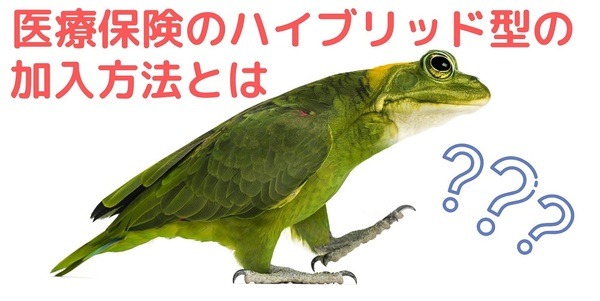 医療保険のハイブリッド型加入方法とは