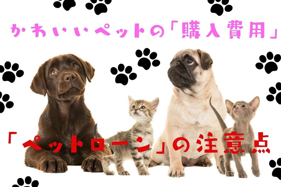 かわいいペットの「購入費用」