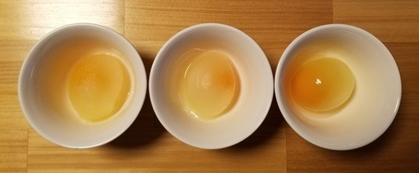 白身が溶けてきます