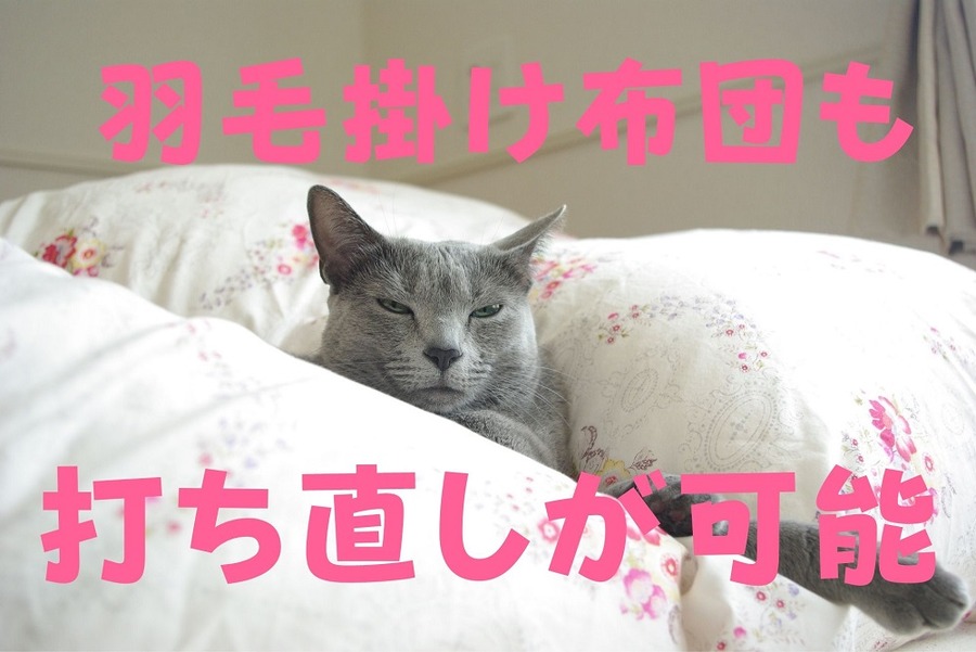 羽毛掛け布団も打ち直せる