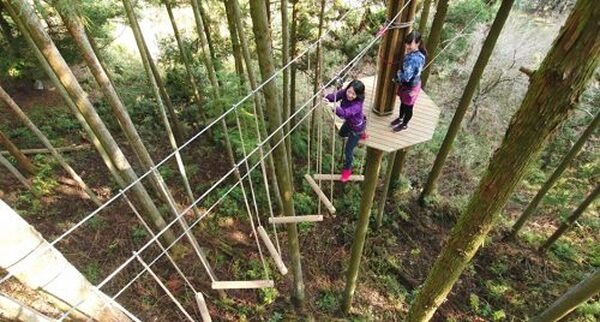 クロスツリーで体を動かす