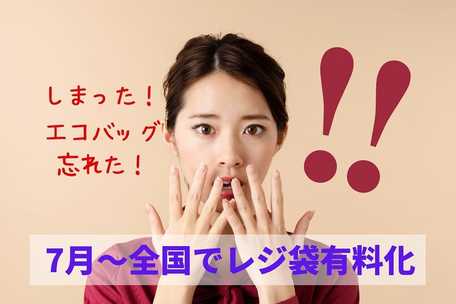 エコバッグを忘れると無駄なお金がかかる
