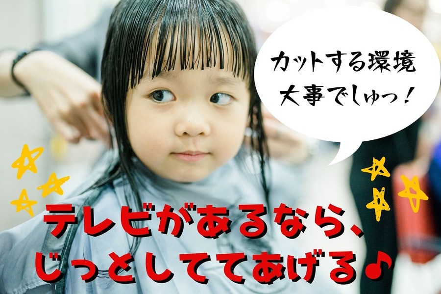 カットするときの環境は大事