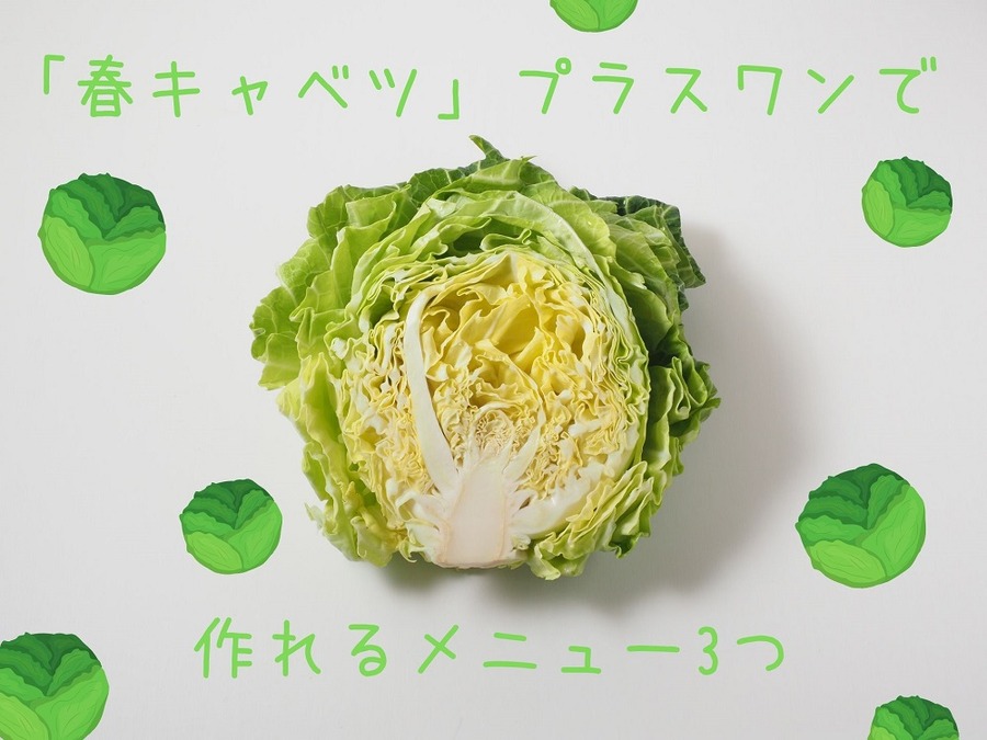 「春キャベツ」プラスワン