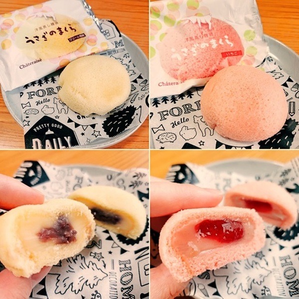 断面の写真