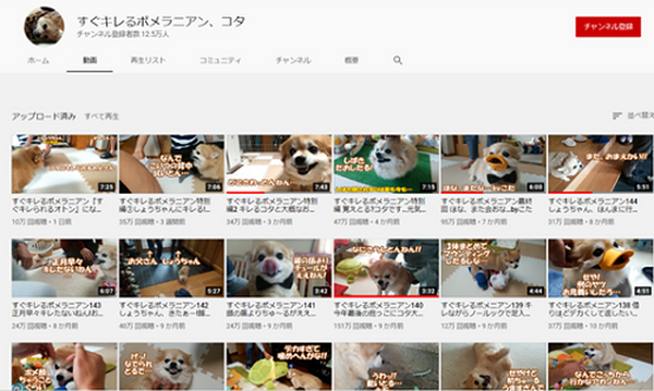 youtubeのペットや動物系チャンネルの特徴