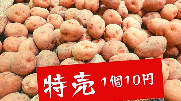 特売のじゃがいも