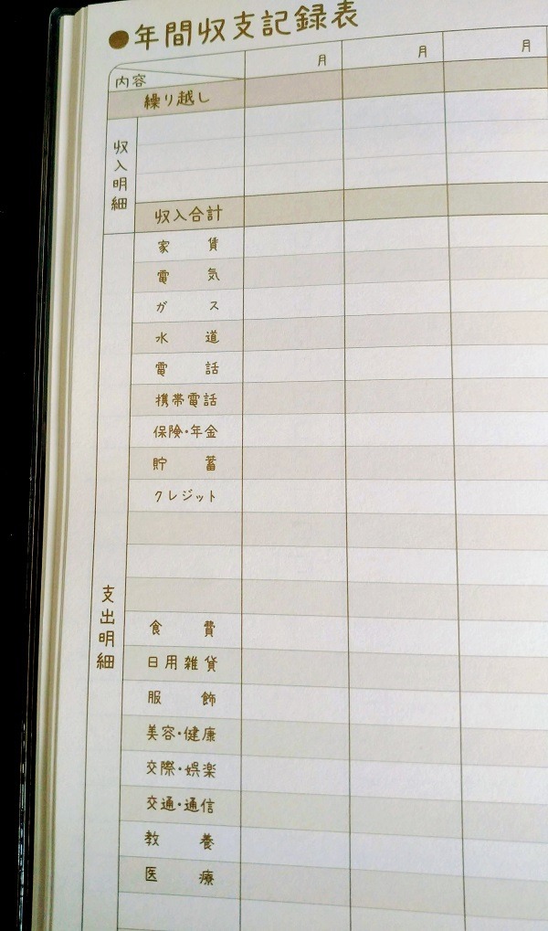 医療費・交際費の記録ページのほか、年間収支記録表や年間貯蓄額のまとめページも