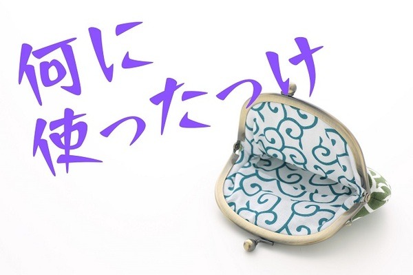 何に使ったかわからないまま金欠